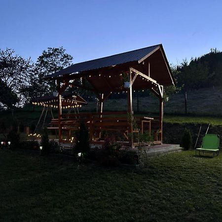 Pensiunea Apuseni Vidra  Extérieur photo