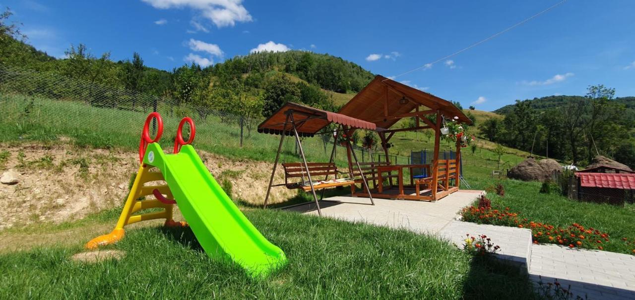 Pensiunea Apuseni Vidra  Extérieur photo