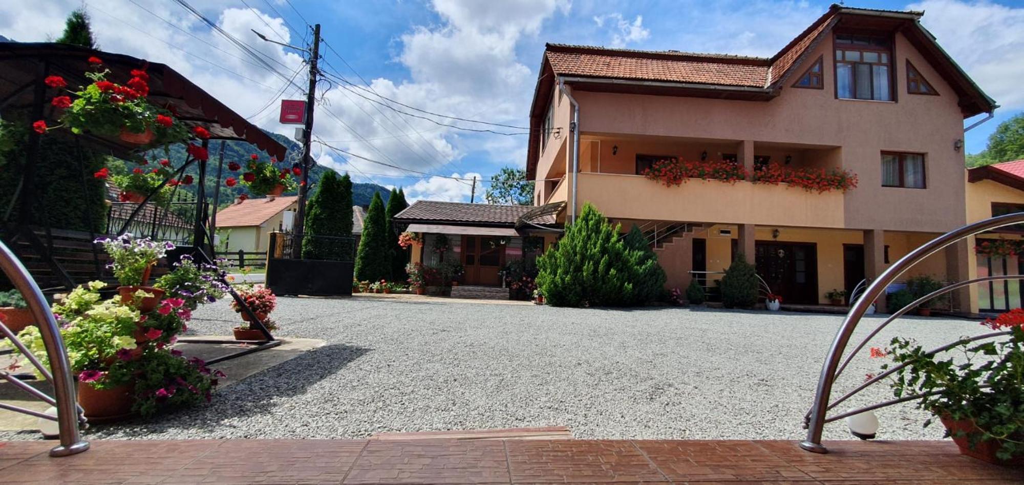 Pensiunea Apuseni Vidra  Extérieur photo