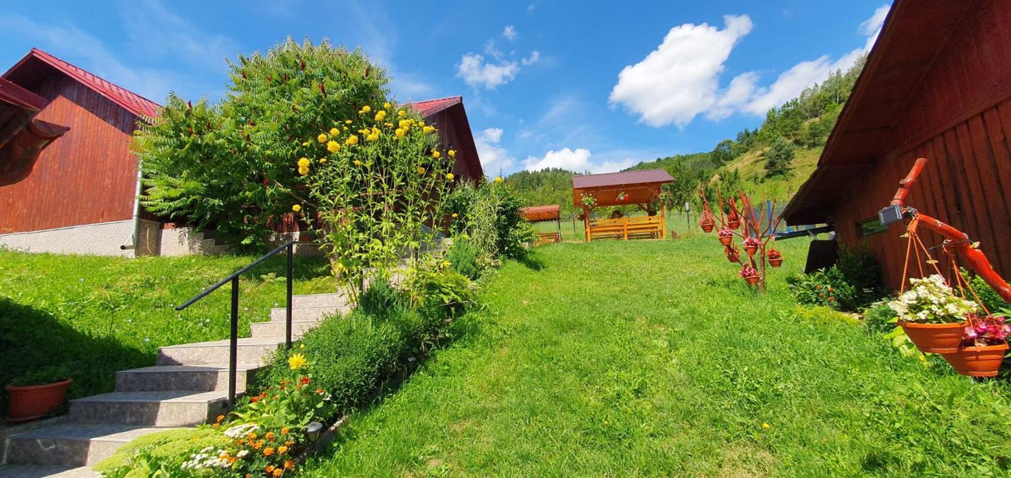 Pensiunea Apuseni Vidra  Extérieur photo