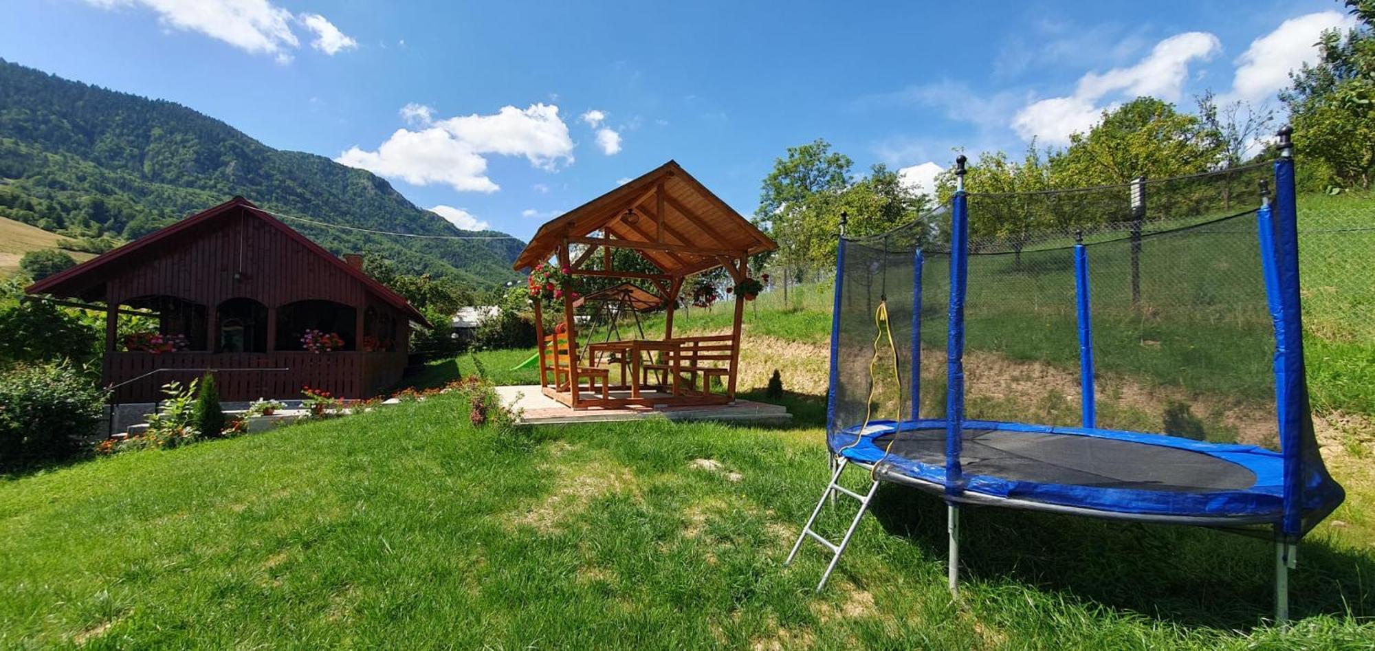 Pensiunea Apuseni Vidra  Extérieur photo