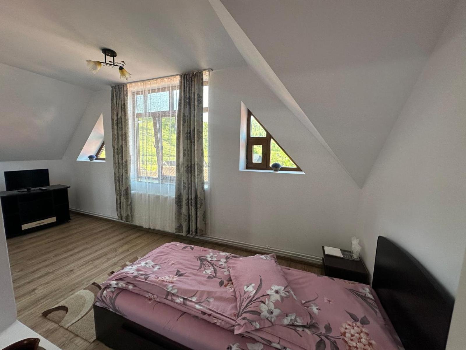 Pensiunea Apuseni Vidra  Extérieur photo