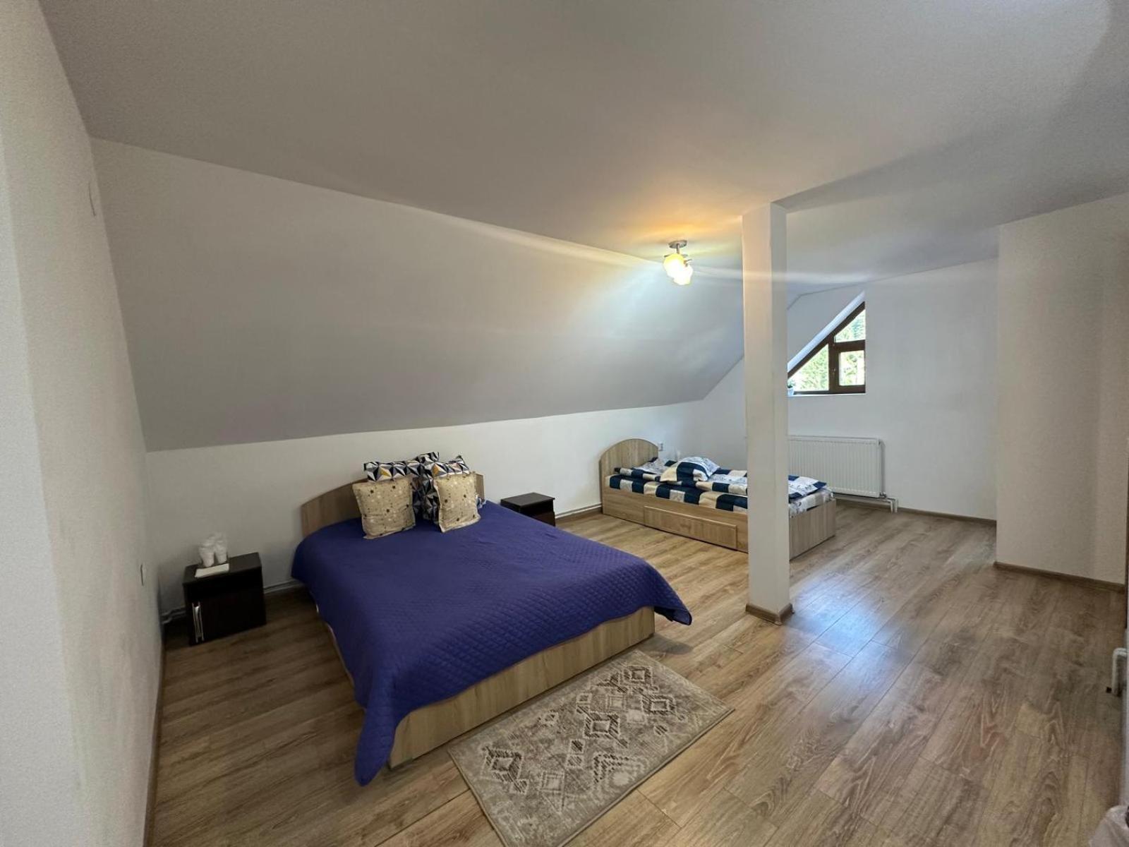 Pensiunea Apuseni Vidra  Extérieur photo