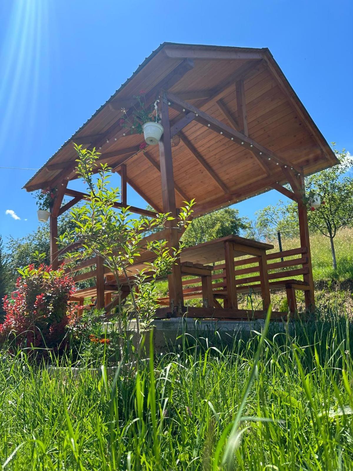 Pensiunea Apuseni Vidra  Extérieur photo